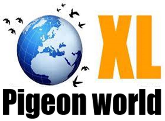 Pigeon World XL